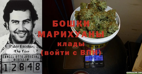 гашик Белоозёрский