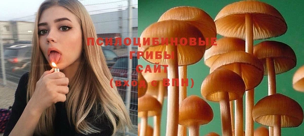 метамфетамин Белокуриха