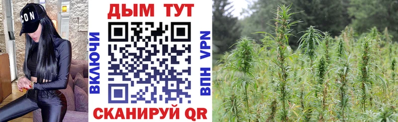 mega ONION  Югорск  Канабис сатива 